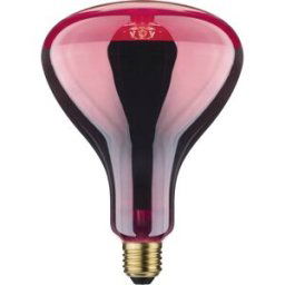 Paulmann Ampoule infrarouge E27 150 W (Ø x L) 125 mm x 173 mm 230 V 1 pc(s)