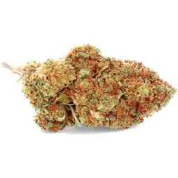 Banana Kush - Fleur de CBD - Easy Weed