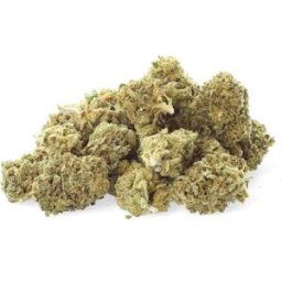 Critical Cheese - Fleur de CBD - Easy Weed