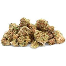 O.G Kush - Fleur de CBD - Easy Weed