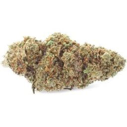 Harlequin 2.0 - Fleur de CBD - Easy Weed