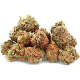 Green Crack - Fleur de CBD - Easy Weed