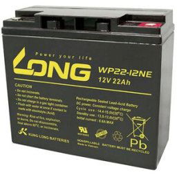 Long WP22-12NE WP22-12NE Batterie au plomb 12 V 22 Ah plomb (AGM) (l x H x P) 181 x 167 x 76 mm raccord à vis M5 résistant aux cycles de charge, auto-décharge
