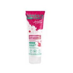 Energie Fruit Énergie Fruit Shampoing Protection Couleur Vinaigre de Framboise Bio Cheveux Colorés et Méchés 250 ml - Tube 250 ml