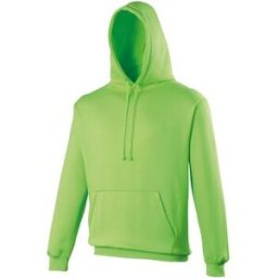 Sweat-shirt Awdis Electric Vert