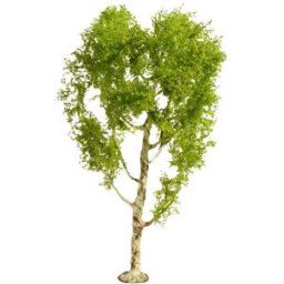 NOCH 20125 Arbre bouleau pubescent 210 mm 1 pc(s)