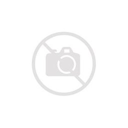 DLH Chargeur secteur USB-A 12W cable APPLE