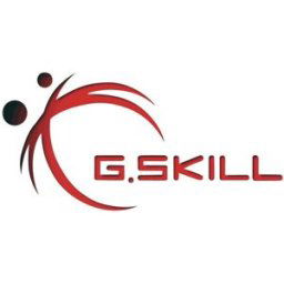 G.Skill F5-4800S3838A32GX1-RS Module mémoire pour PC portable DDR5 32 GB 1 x 32 GB 4800 MHz F5-4800S3838A32GX1-RS