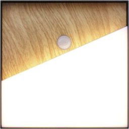 ECO-Light MEG + PIR 9490-Q-PIR WO Applique LED avec détecteur de mouvement LED intégrée 5 W LED bois