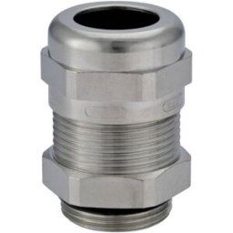 Hummel 1.631.2500.50 Presse-étoupe M25 x 1.5 laiton laiton 1 pc(s)