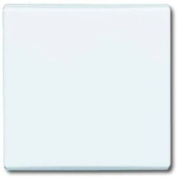 Busch-Jaeger Cache Interrupteur, Interrupteur va-et-vient, Interrupteur/inverseur, Bouton-poussoir Allwetter 44 (IP44) blanc, blanc pur (RAL 9010)