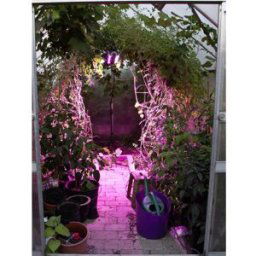 Venso Lampe pour plantes à LED, croissance 65 cm 230 V LED intégrée 60 W RVBB 1 pc(s)