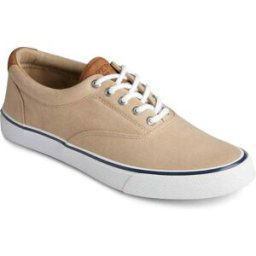 Sperry Chaussures Vulcanisée Pour Homme STRIPER II CVO - Coton beige 40 male