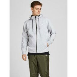 jack & jones Sweat à capuche Standard Fit Manches longues Gris Clair Troy XS male