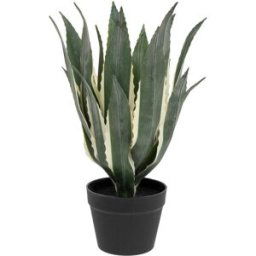3S. x Home Agave artificielle en plastique H55cm vert unisex