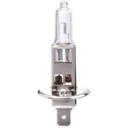 IWH Ampoule halogène H1 pour phare, 12 V, 55 watts
