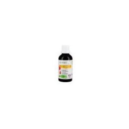 Les 3 Chênes Epp 1200 Bio 50 ml - Flacon compte goutte 50 ml