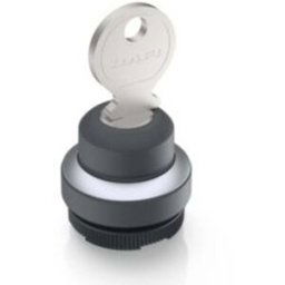 RAFI 1.30.275.222/0000 RAFIX 22 FS+ Commutateur à clé 1 x 90 ° 1 pc(s)