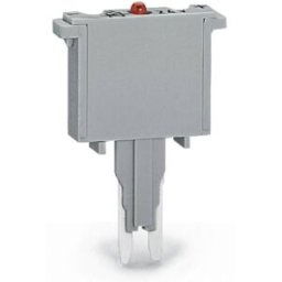 Fiche à fusible WAGO 280-852/281-413 100 pc(s)