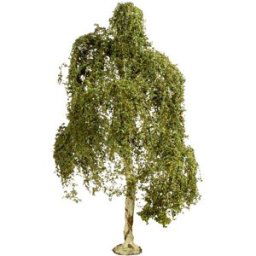 NOCH 20120 Arbre bouleau verruqueux 180 mm 1 pc(s)