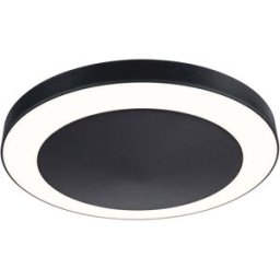 Paulmann Circula 94526 Applique LED extérieure avec détecteur de mouvement 14 W anthracite
