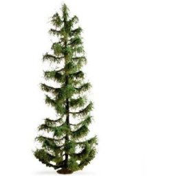 NOCH 20192 Arbre épicéa 250 mm 1 pc(s)