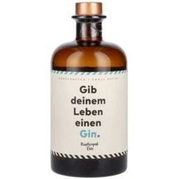 Flaschenpost Gin Bouteillespost Gin 41% Vol. 0,5l