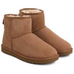 Ugg Bottines Classic Mini