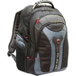 Sac à dos Wenger Pegasus Dimension maximale: 43,9 cm (17,3) gris