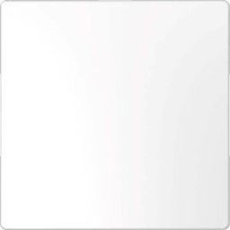 Merten Cache System Design blanc MEG4075-6035 1 pc(s)