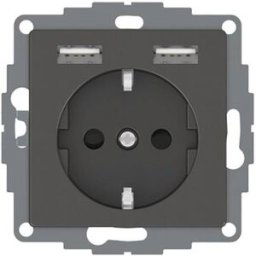 Merten Insert System Design anthracite MEG2366-0414 1 pc(s)