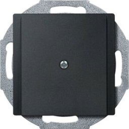 Merten Cache System M anthracite 295614 1 pc(s)
