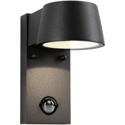 Paulmann Capea 94453 Applique LED extérieure avec détecteur de mouvement LED 6 W gris