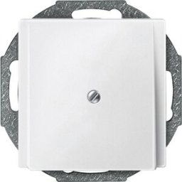 Merten Cache System M blanc polaire 295619 1 pc(s)