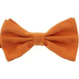 Cravates et accessoires Tony & Paul Noeud papillon noué ALESSIA Orange