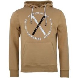 Sweat-shirt Peak Mountain Sweat à capuche homme CONOR Marron
