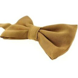 Cravates et accessoires Tony & Paul Noeud papillon noué ALESSIA Marron