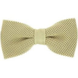 Cravates et accessoires Tony & Paul Noeud papillon tricot PAULO Marron