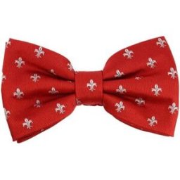 Cravates et accessoires Tony & Paul Noeud papillon noué Fleurs de Lys - BOURBON Rouge