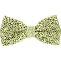Cravates et accessoires Tony & Paul Noeud papillon tricot PAULO Vert