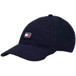 Casquette Tommy Jeans HERITATGE PLAQUE CAP Bleu