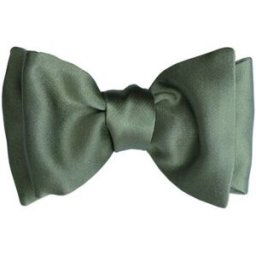 Cravates et accessoires Segni Et Disegni Noeud papillon à nouer Satin Vert