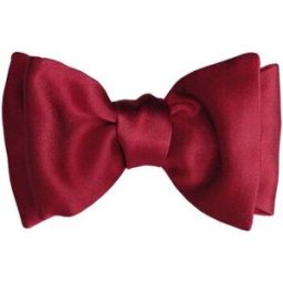 Cravates et accessoires Segni Et Disegni Noeud papillon à nouer Satin Rouge