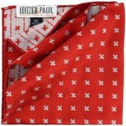 Costumes et cravates Tony & Paul Pochette Fleurs de Lys - BOURBON Rouge