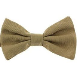 Cravates et accessoires Tony & Paul Noeud papillon noué ALESSIA Marron