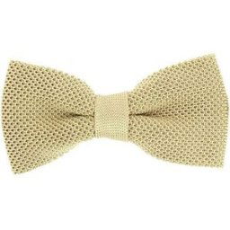 Cravates et accessoires Tony & Paul Noeud papillon tricot PAULO Marron