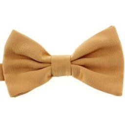 Cravates et accessoires Tony & Paul Noeud papillon noué ALESSIA Orange
