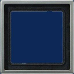 Jung simple Cadre Cache acier inoxydable ES2981 1 pc(s)