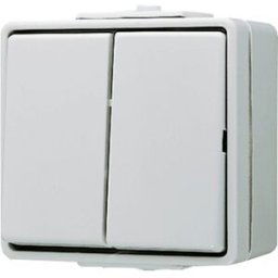 Jung complet Interrupteur double WG 600 gris 605W 1 pc(s)