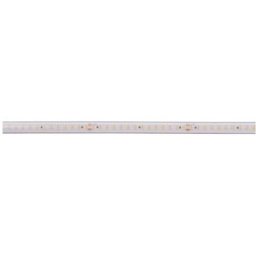 Deko Light Long Run 840404 Ruban LED CEE: F (A - G) avec câble à extrémités ouvertes 48 V 50 m blanc chaud 1 pc(s)